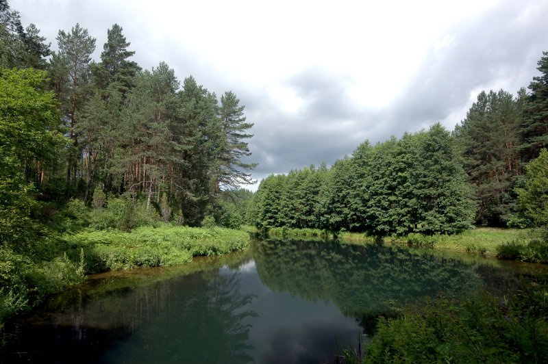 b/n пейзаж, вода