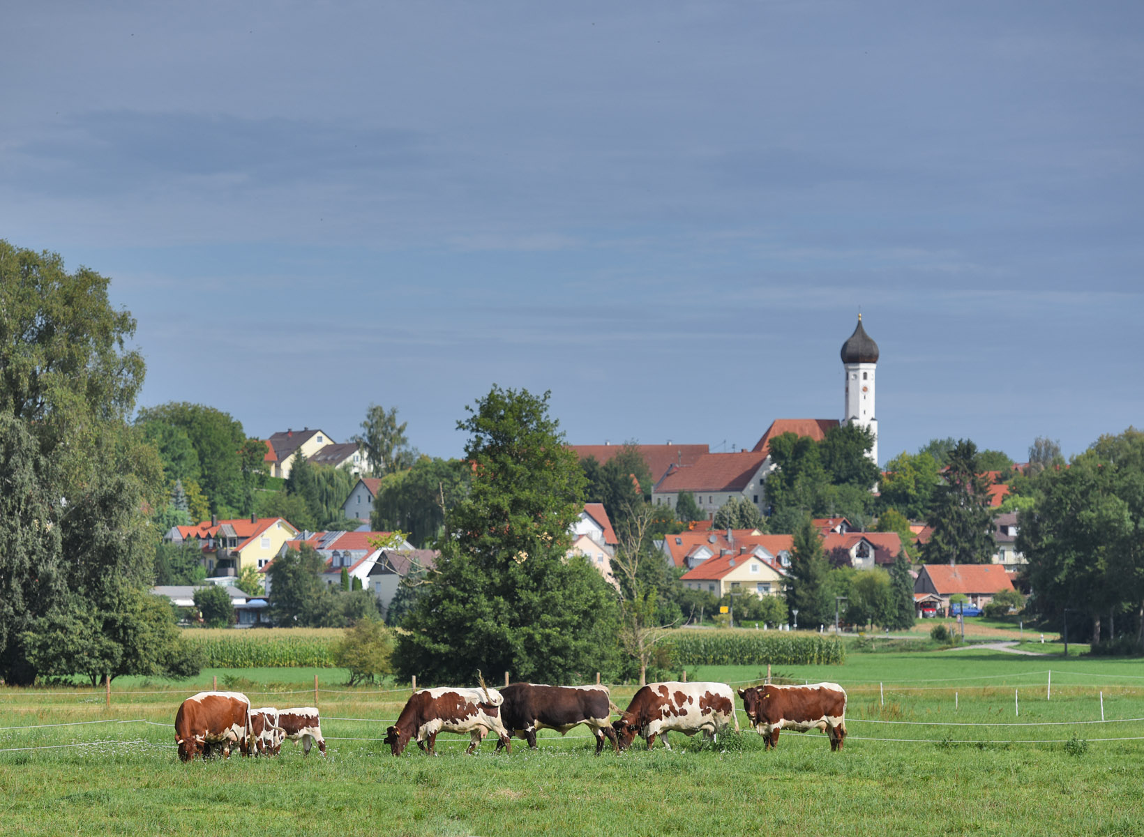 Баварская пастораль 