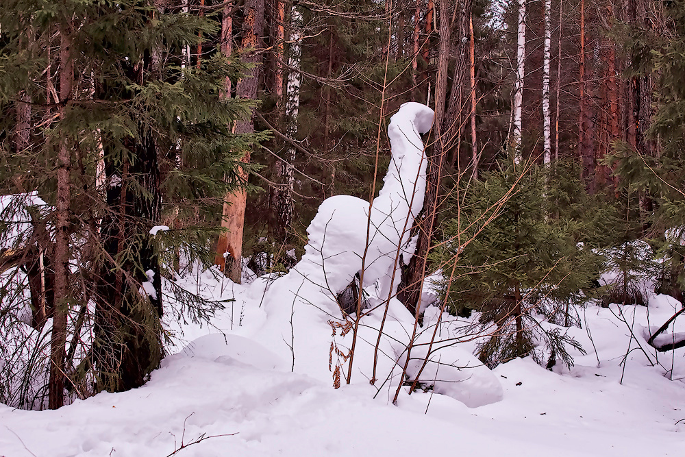 ПРИРОДА ЛУЧШИЙ ХУДОЖНИК*** снежные зарисовки в лесу