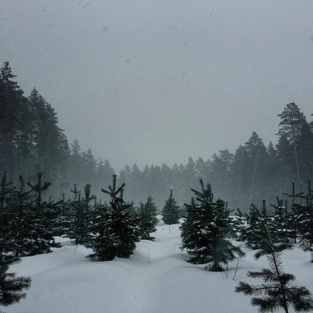 Подрастающее поколение phonephotography phone snow