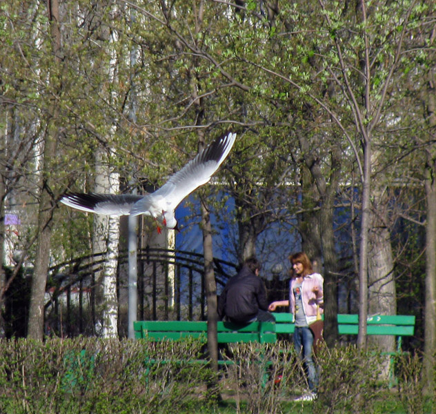 Полет 