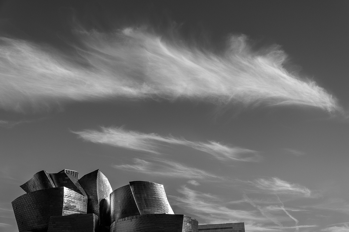 The Guggenheim Museum Bilbao бильбао испания чб