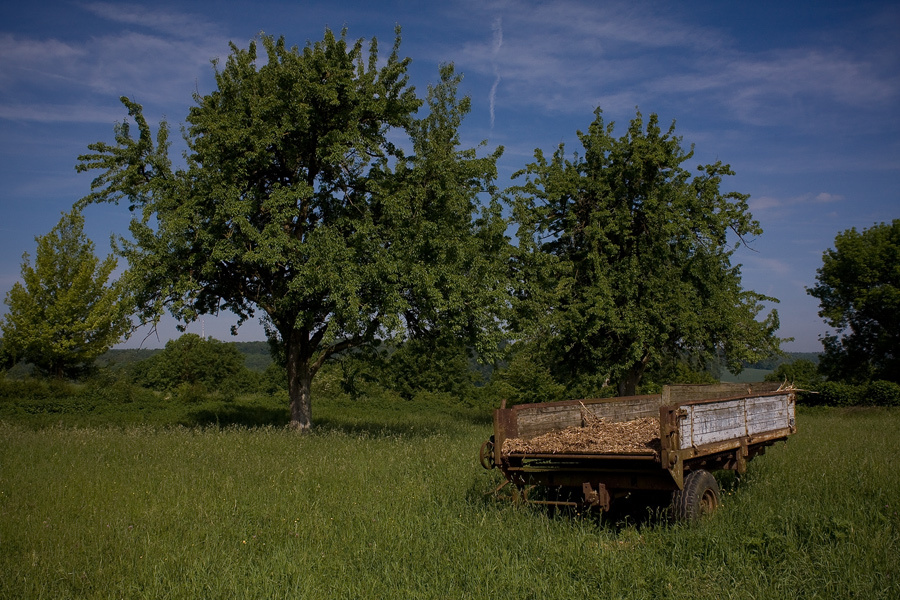 Жаркий июнь 