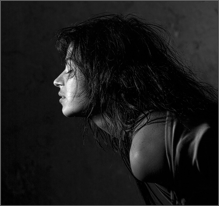 profile model, модель