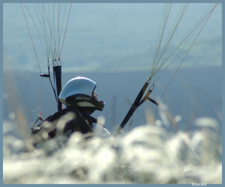 HiTek 