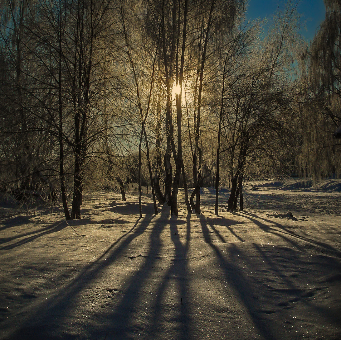 ***Зимним утром. 