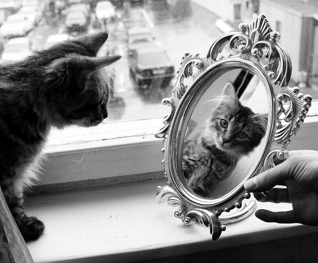 ..маленькие бытовые радости)))) 
