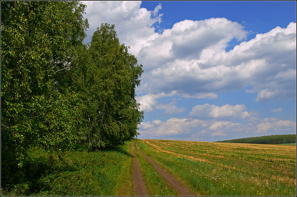 Дальняя дорога 