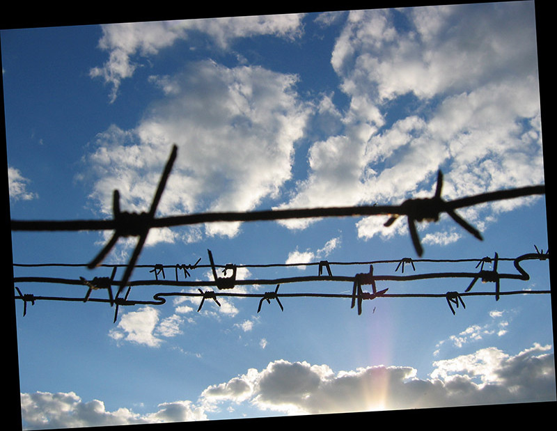 The Search For Freedom sky freedom