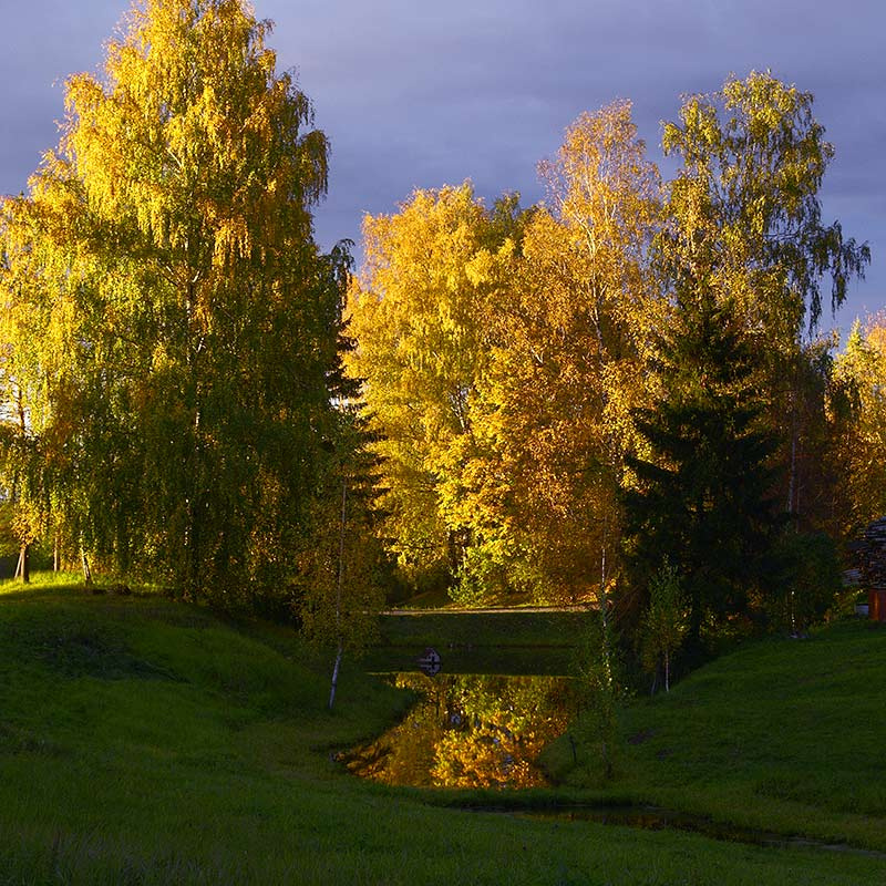nu konechno - osenj! 