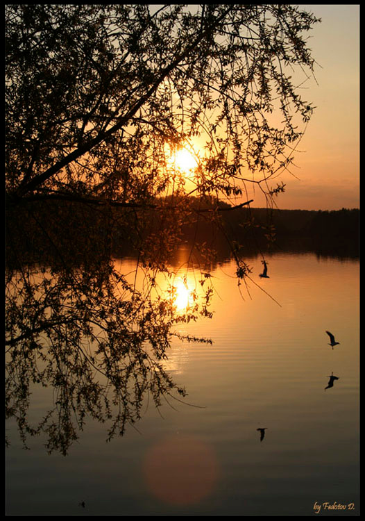 ***** Закат природа красота душевно