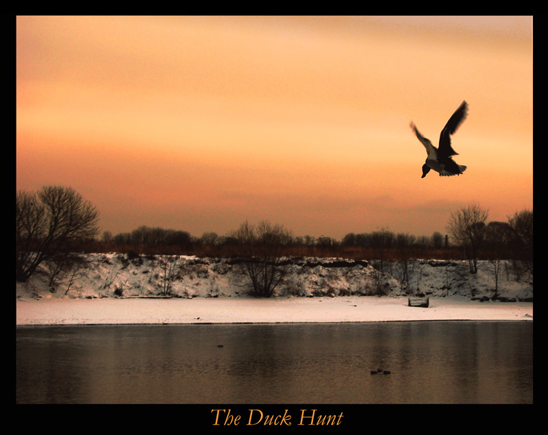 The Duck Hunt Утка охота взлет