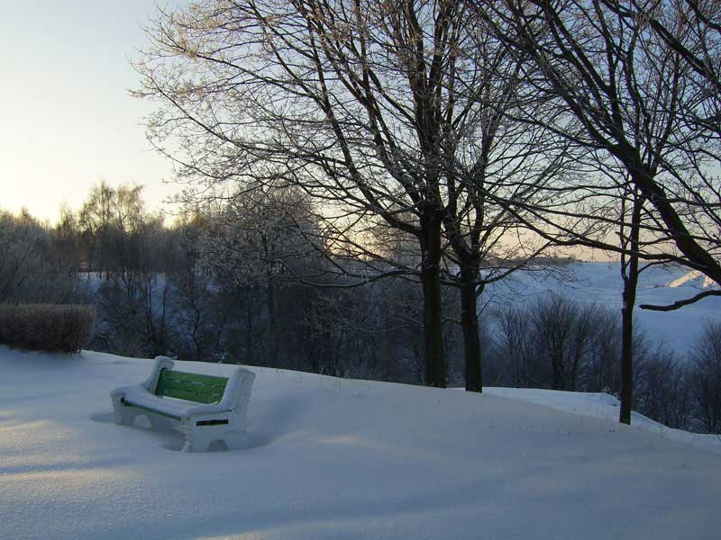 Одинокая скамейка скамейка снег деревья
