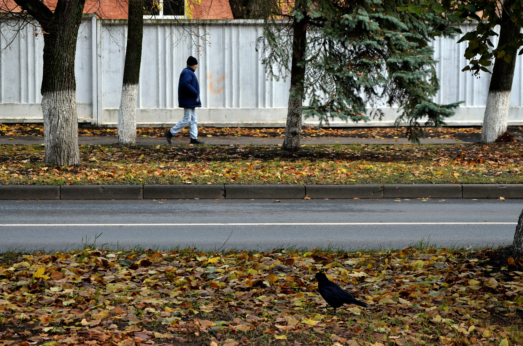 На прогулке 