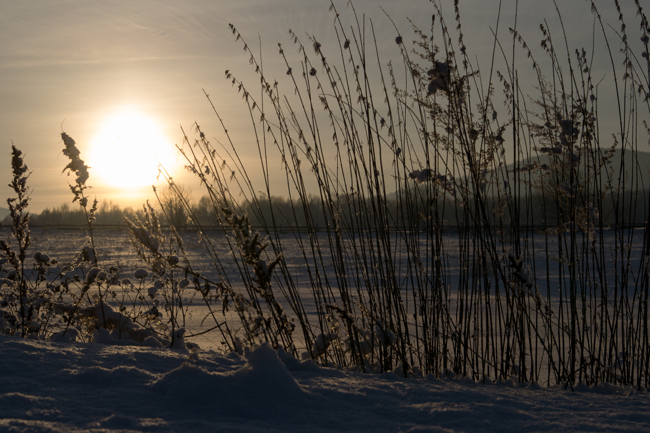 sunset закат, снег, зима, солнце, субботино