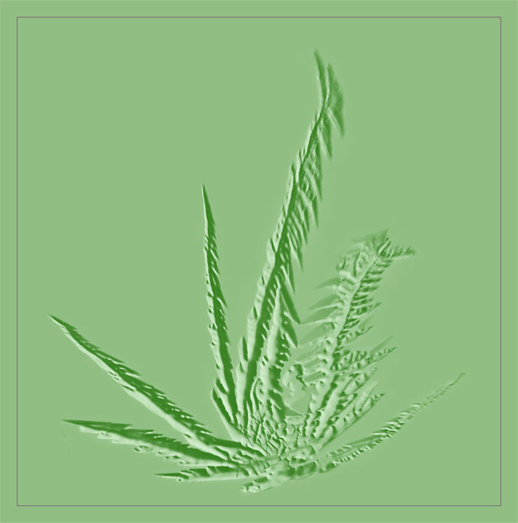 Мечта растамана (серия ЗИМНИЕ УЗОРЫ) weed и марихуана - мечта для растамана
