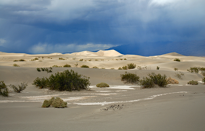 Буря в пустыне Дюны Death Valley National Park California