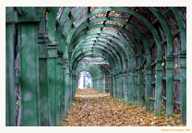 Галерея галерея, Архангельское, осень