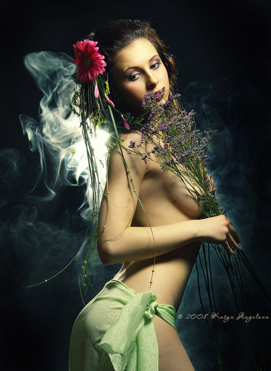 *FAIRY* 