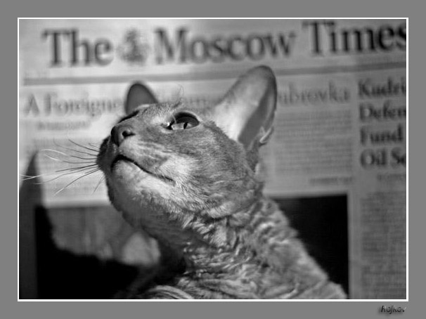 The Moskow Times 