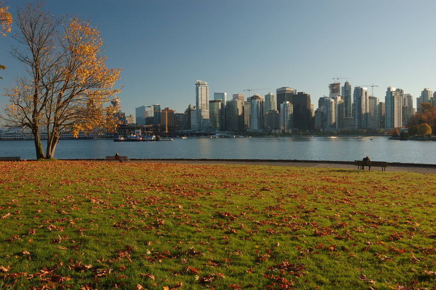 Autumnal lawn in Stanley Park canada vancouver stanley city landscape
