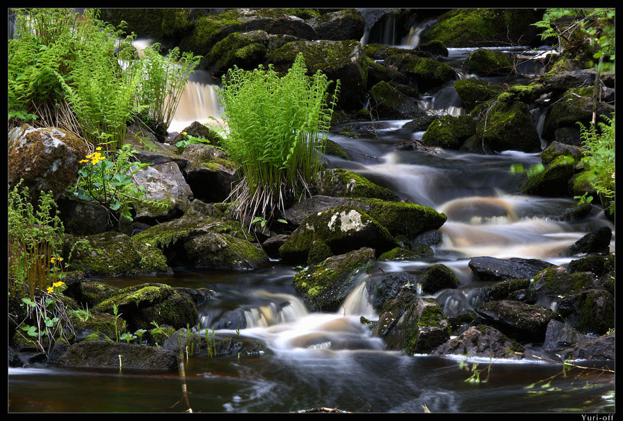 Вода, папоротник и камни Юкинкоски