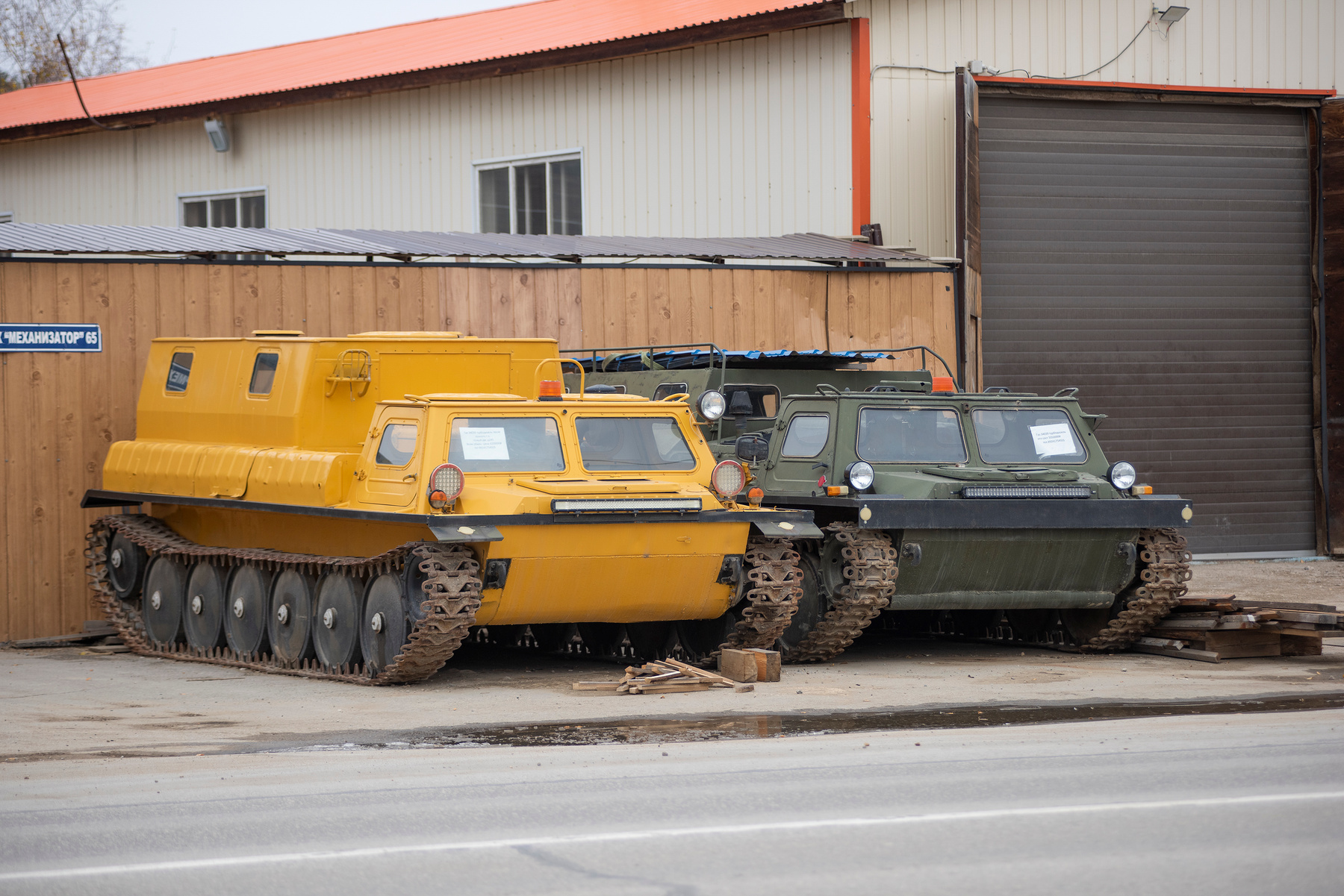 Близнецы 