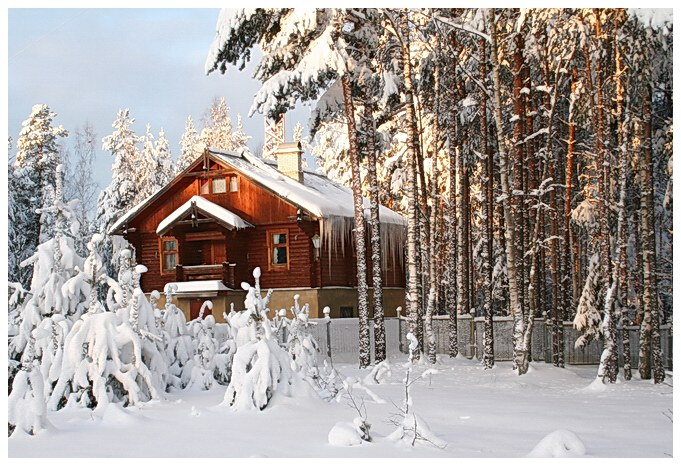 ***В лесной глуши*** 