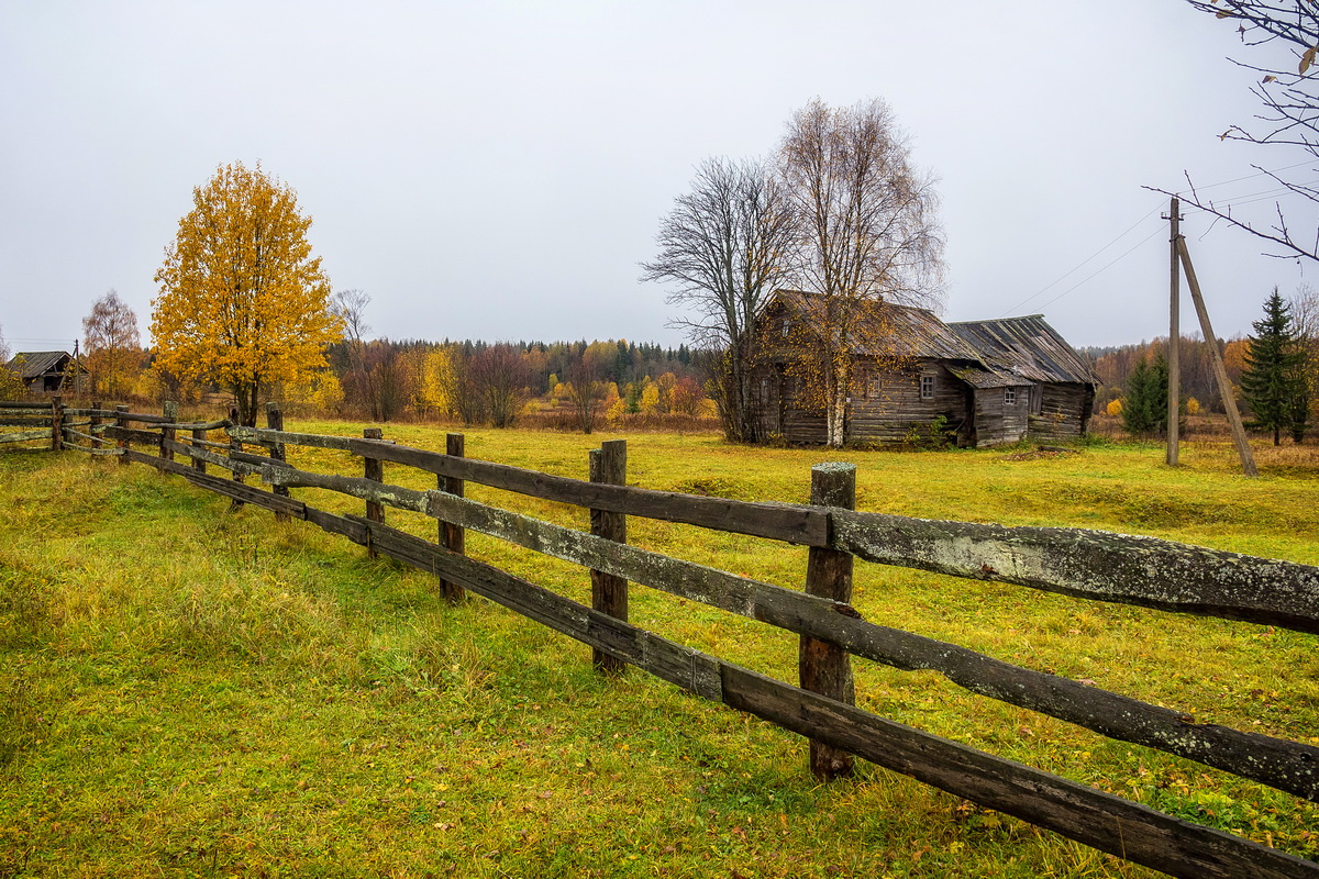 Осень в деревне 