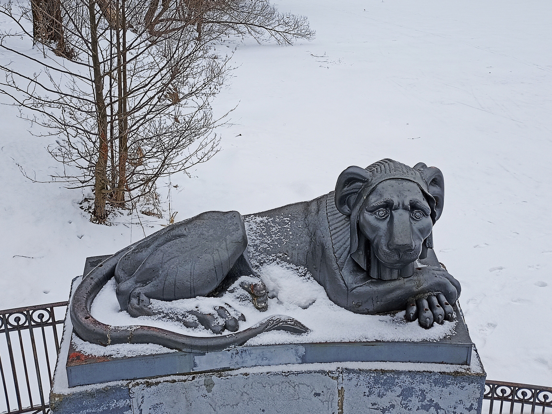 Лев с грустными глазами лев