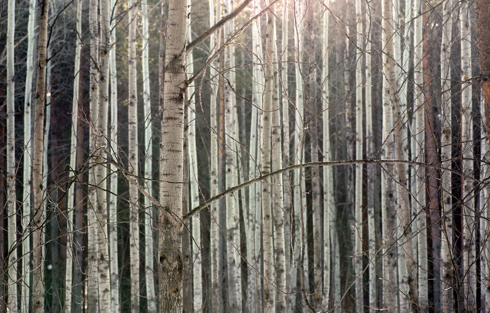 ~ 