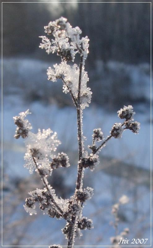 Зимний хрусталь зима, снежинки, снег