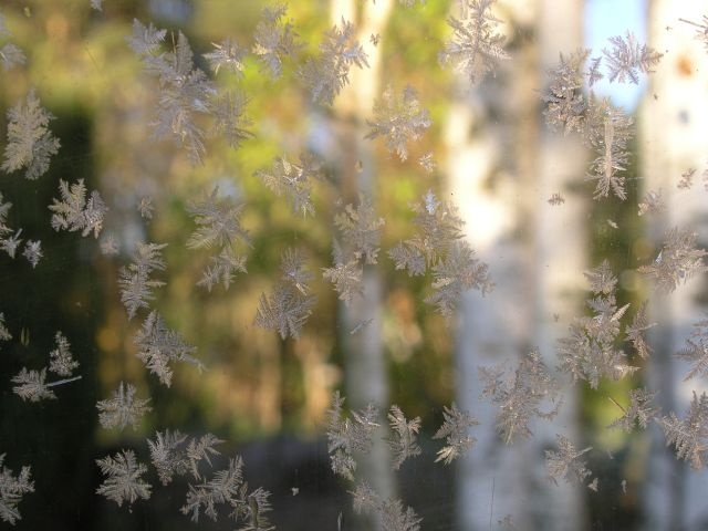 Морозное утро "Бабьего лета" 