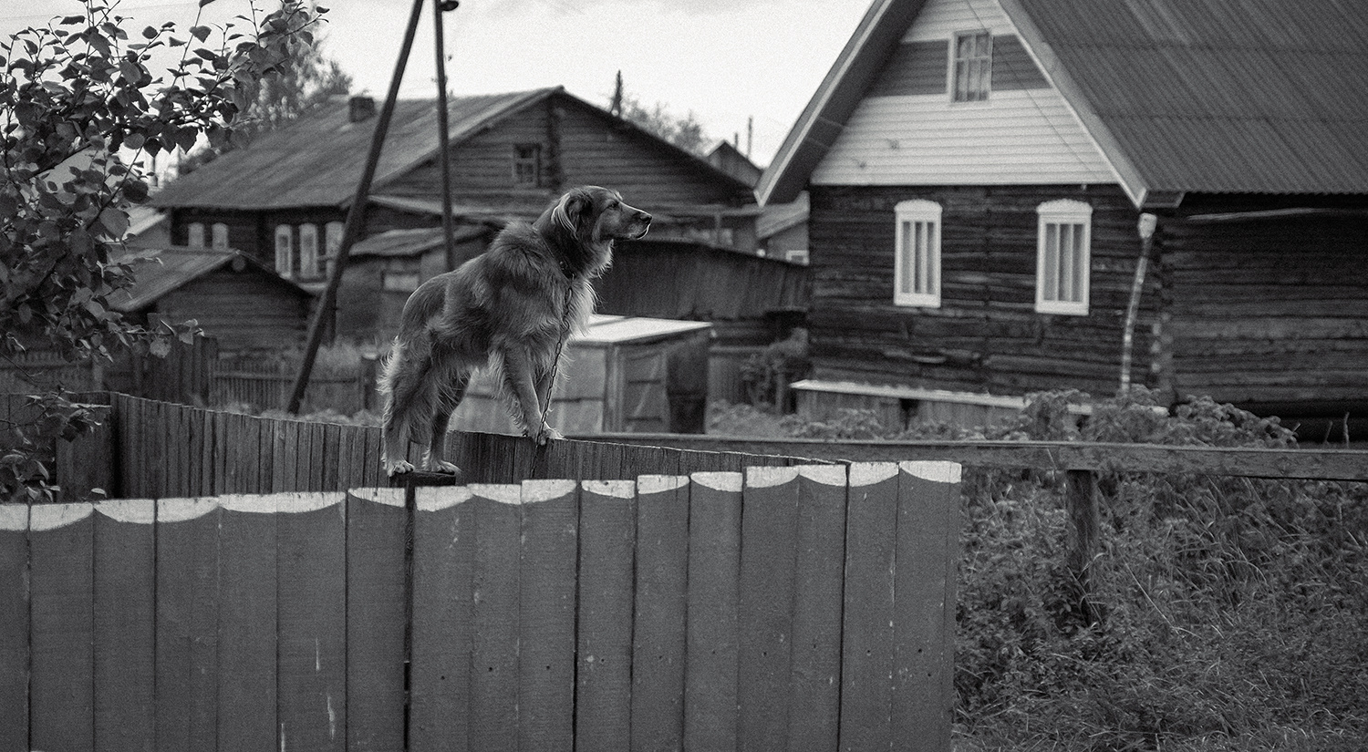 дневной дозор 