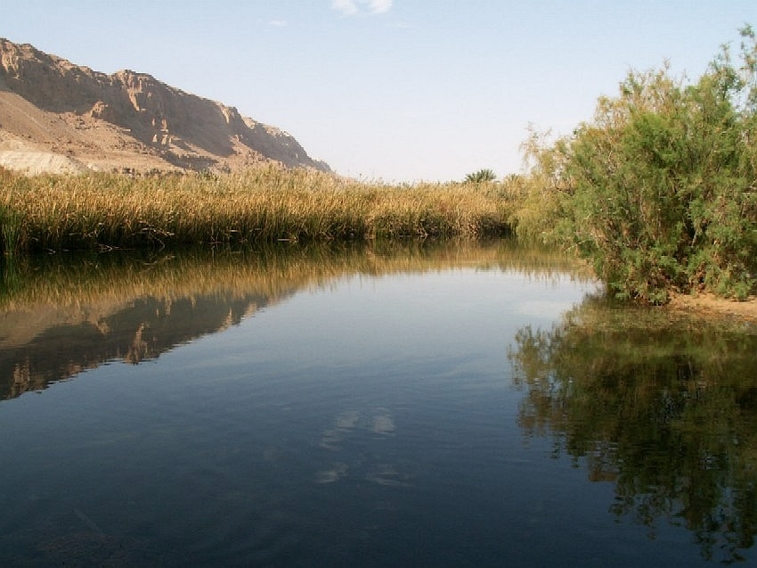 Заповедник Эйнот Цуким зима, день, Мёртвое море