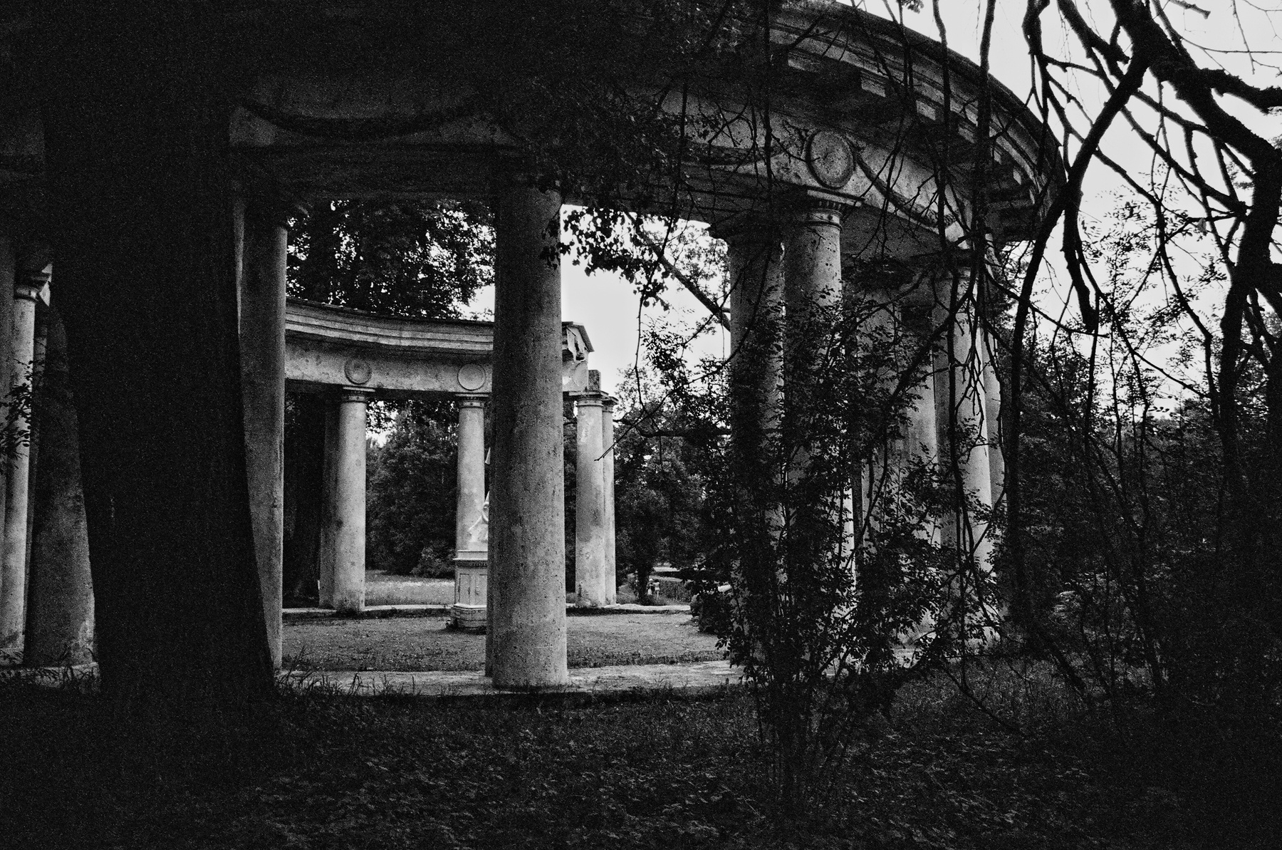 *** Павловск пленка ilford xp2 super