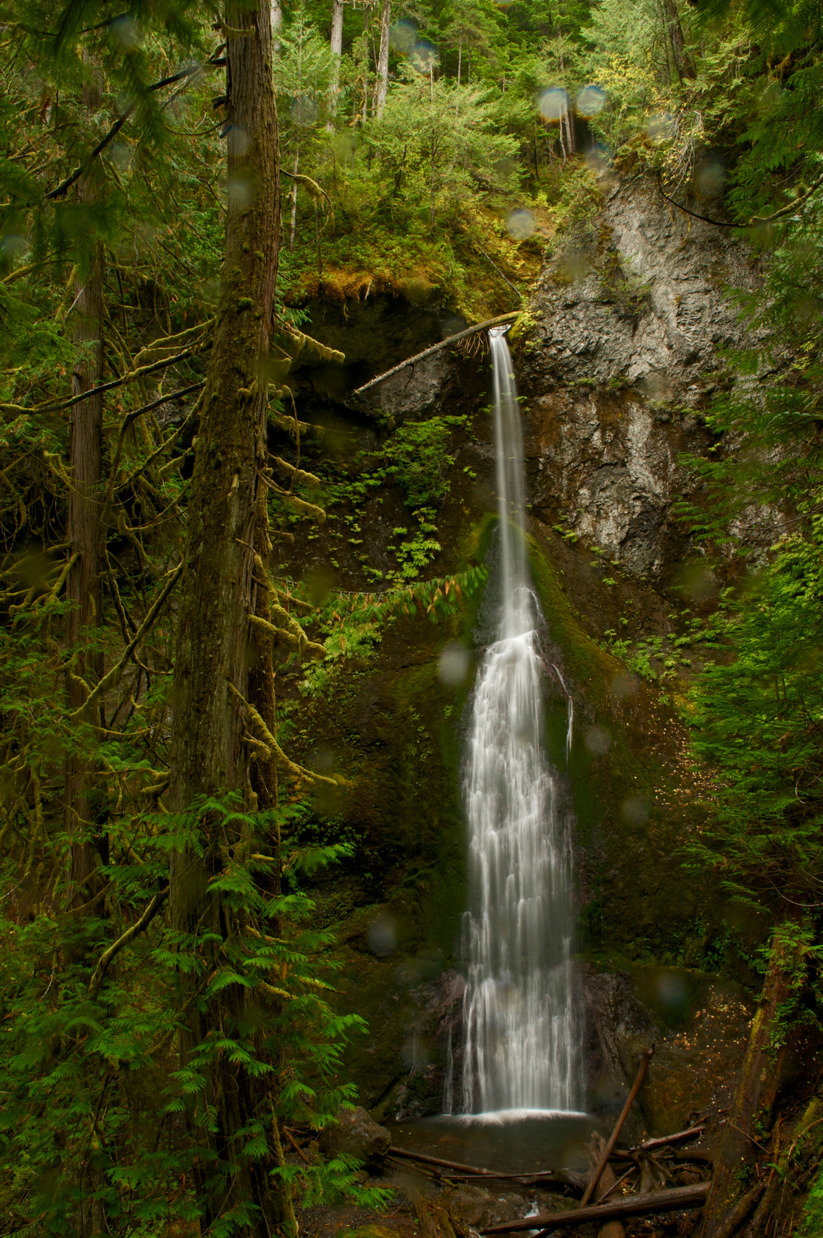 ***Olympic National Park,Washington smotrite na temnom fone