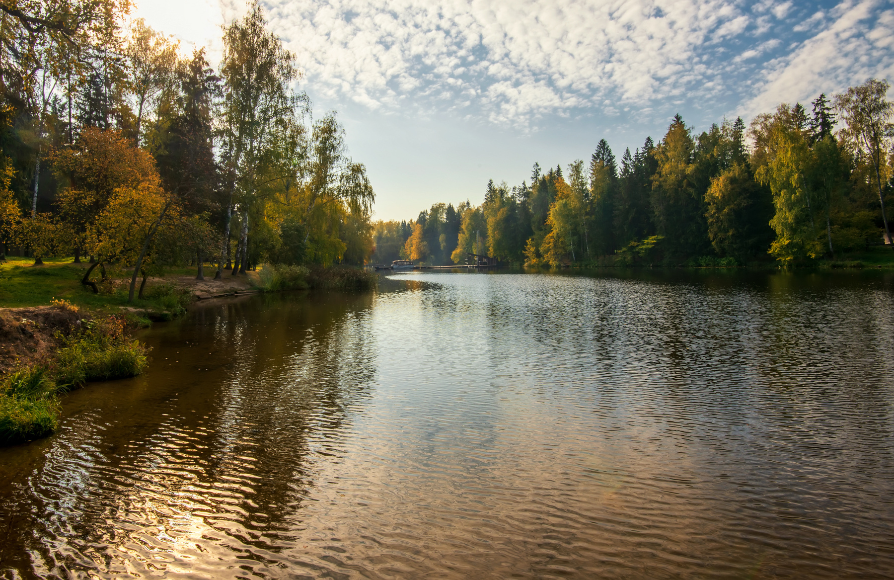 Осень в Подмосковье 