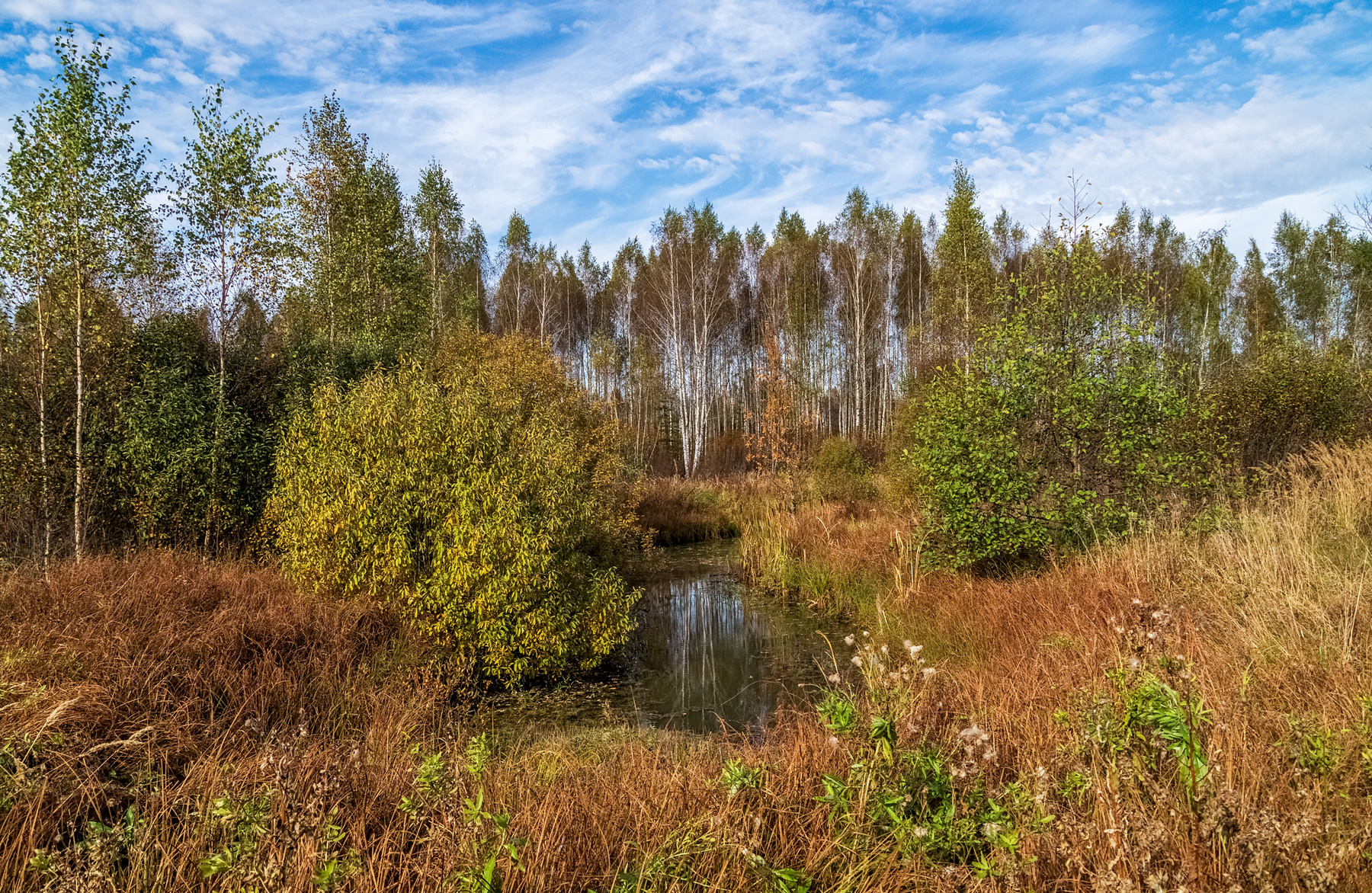 Осень достала краски 3 