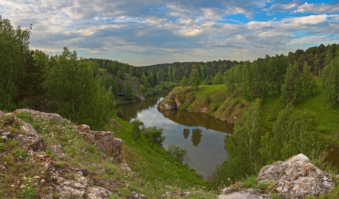 Родные берега. 