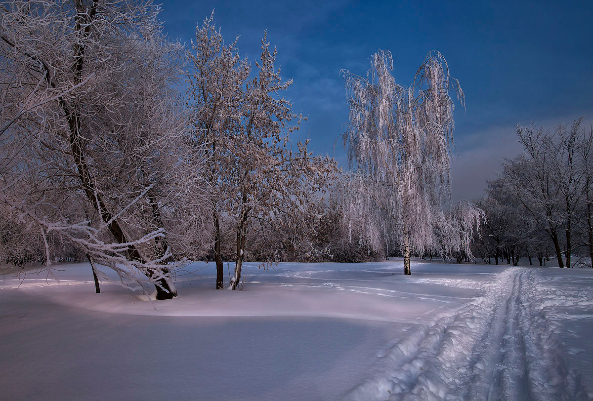 Красавица зима Москва