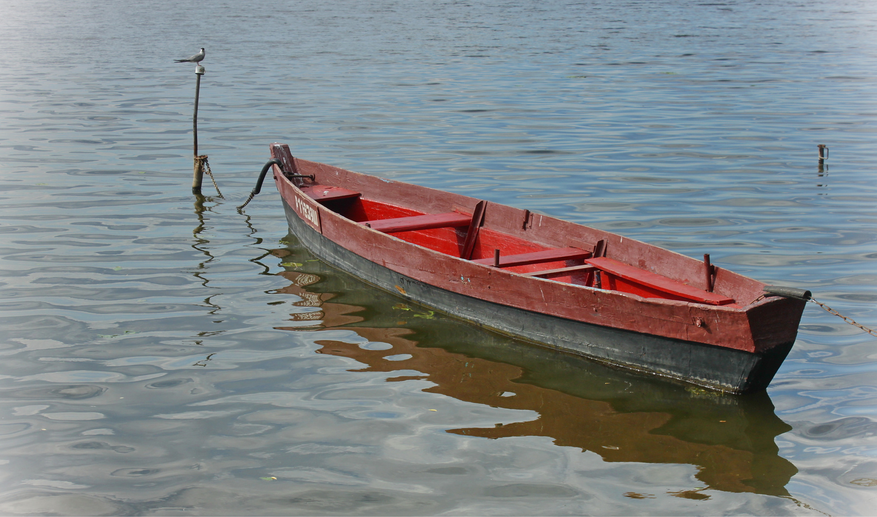 Just a red boat 