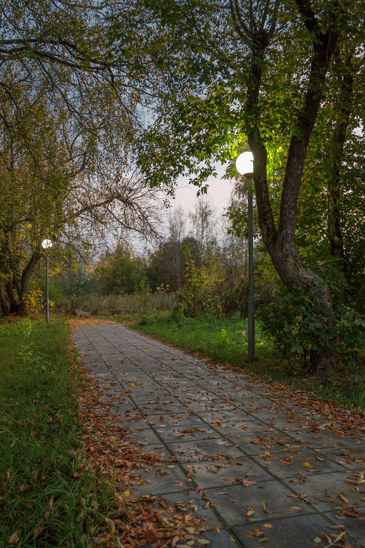 Осенний парк 