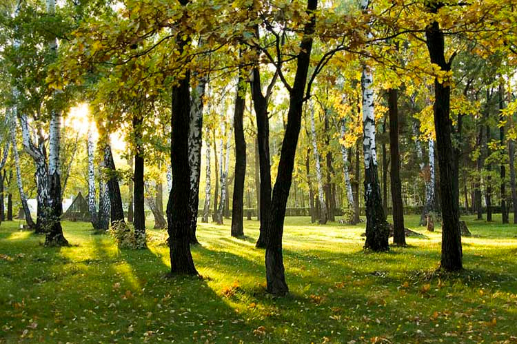 добрая осень добрая осень