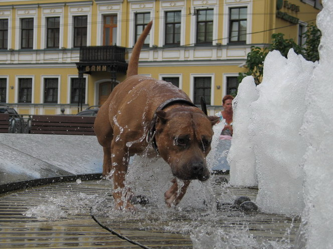 Забавно! 