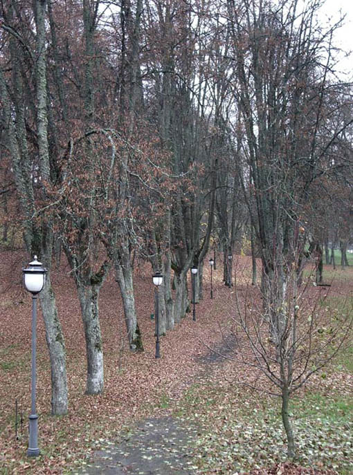  Osennij park +++