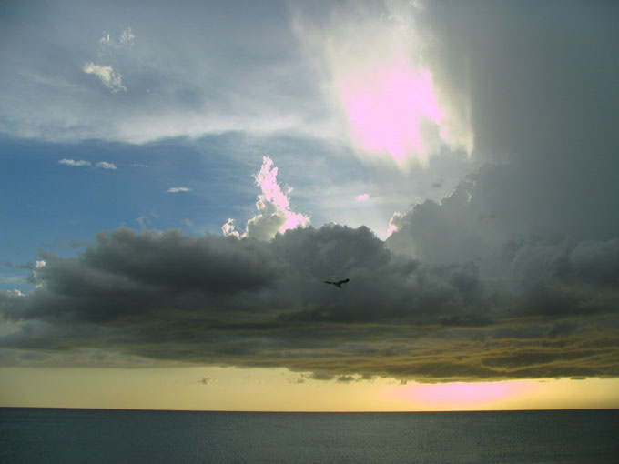 Sunset in Captiva Island, FL 