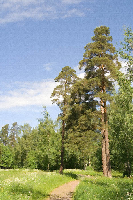 ... обработка живопись масло