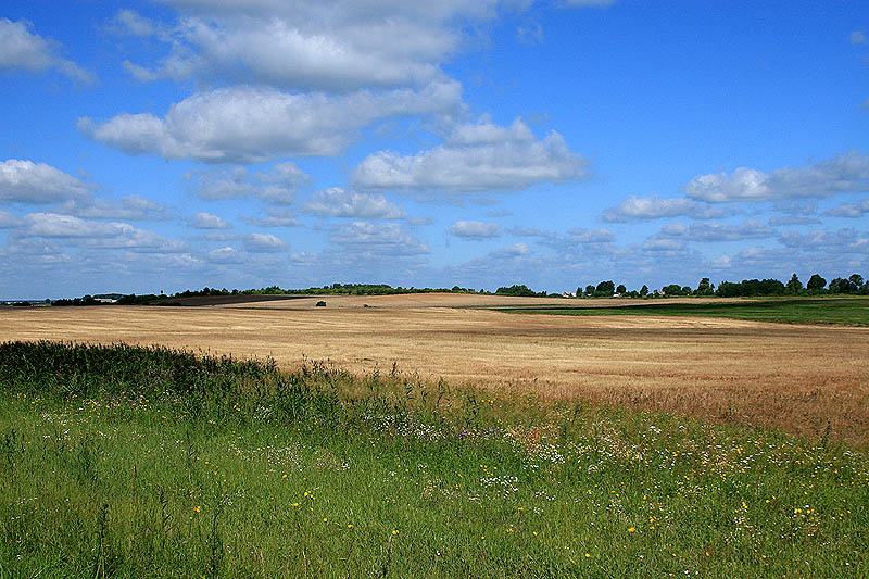 Белорусские просторы 