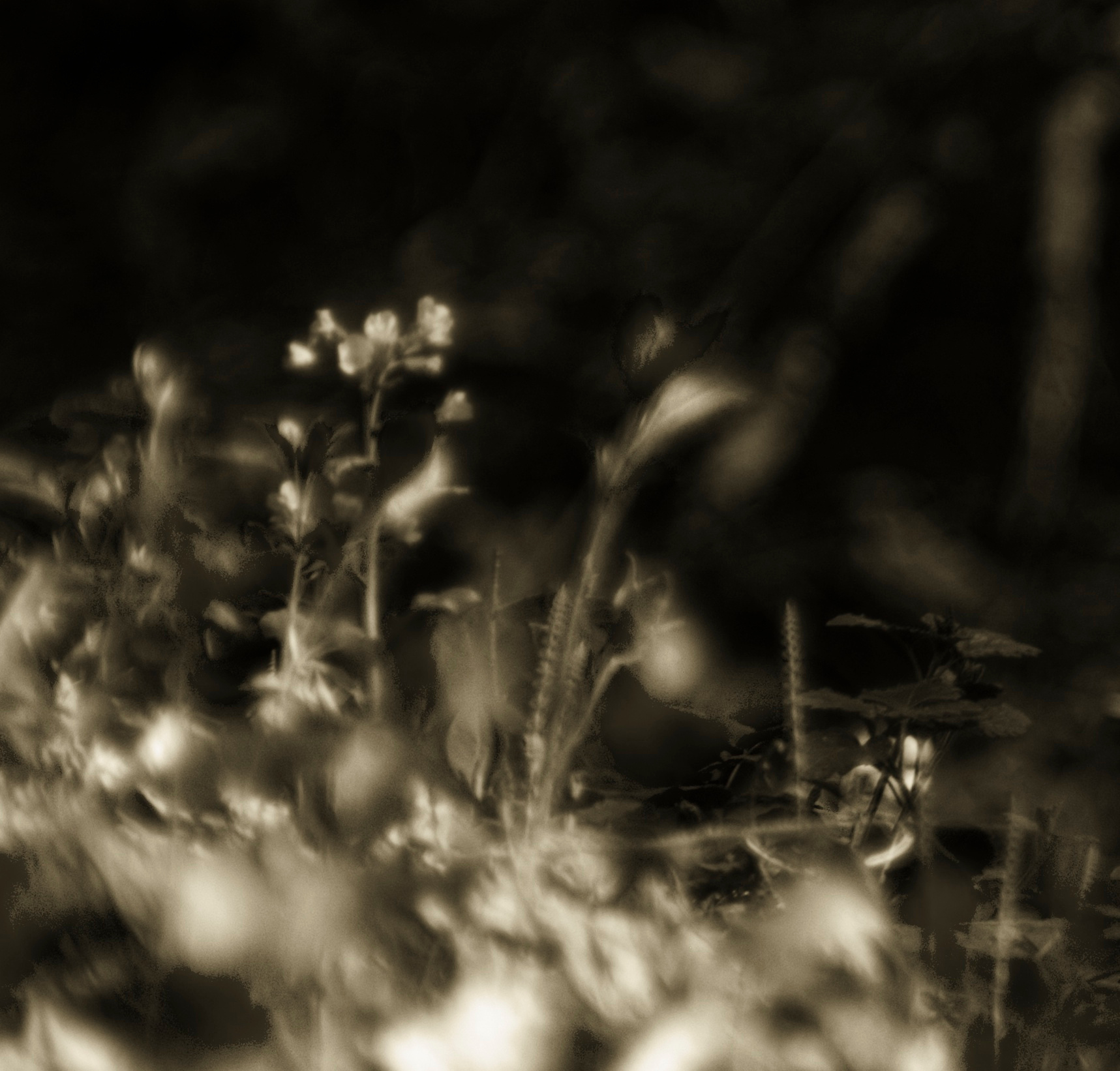 *** 